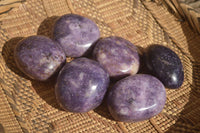 Polished  Purple Lepidolite Palm Stones  x 6 From Zimbabwe