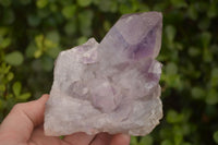 Natural Jacaranda Amethyst Clusters x 2 From Zambia