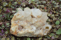 Natural Candle Quartz Clusters With Golden Iron Colouration  x 4 From Madagascar - TopRock