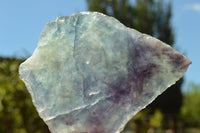 Polished Semi Translucent Watermelon Fluorite Slices x 3 From Uis, Namibia - TopRock