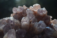 Natural Large Sugar Amethyst Cluster  x 1 From Zambia - Toprock Gemstones and Minerals 