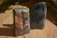 Polished Rare Purple Flash Labradorite Standing Free Forms x 2 From Tulear, Madagascar