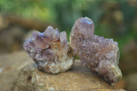 Natural Rare Dark Purple Spirit Amethyst Clusters  x 24 From Boekenhouthoek, South Africa - Toprock Gemstones and Minerals 