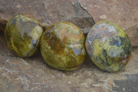 Polished Green Opal Palm Stones  x 12 From Madagascar - Toprock Gemstones and Minerals 