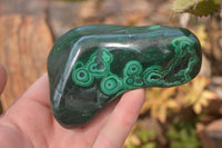 Polished Malachite Free Forms x 3 From Kolwezi, Congo