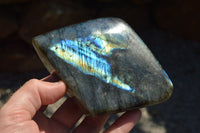 Polished Labradorite Standing Free Forms With Intense Blue & Gold Flash x 3 From Sakoany, Madagascar - TopRock