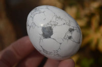 Polished White Howlite Gemstone Eggs x 12 From Madagascar