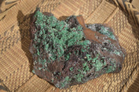 Natural Drusy Coated Ball Malachite On Dolomite Specimen x 1 From Congo