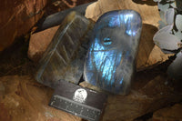 Polished Rare Purple Flash Labradorite Standing Free Forms x 2 From Tulear, Madagascar