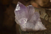 Natural Jacaranda Amethyst Clusters x 2 From Zambia