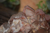 Natural Red Hematoid Quartz Specimen x 1 From Karoi, Zimbabwe - TopRock