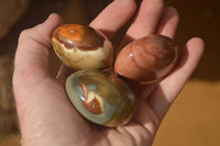 Polished  Polychrome / Picasso Jasper Palm Stones  x 12 From Madagascar