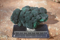 Natural Botryoidal Malachite Specimens  x 3 From Kolwezi, Congo