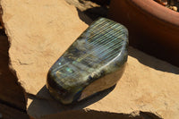 Polished Labradorite Standing Free Forms With Intense Blue & Gold Flash x 3 From Sakoany, Madagascar - TopRock