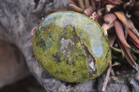 Polished Green Opal Palm Stones  x 12 From Madagascar - Toprock Gemstones and Minerals 