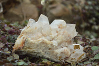 Natural Candle Quartz Clusters With Golden Iron Colouration  x 4 From Madagascar - TopRock