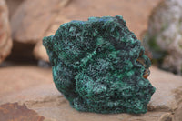 Natural Chatoyant Silky Malachite Specimens  x 4 From Kasompe, Congo