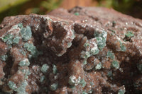 Natural Drusy Quartz Coated Ball Malachite On Red Copper Dolomite  x 1 From Likasi, Congo