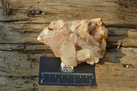 Natural Candle Quartz Clusters With Golden Iron Colouration  x 4 From Madagascar - TopRock