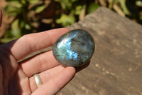 Polished Flashy Labradorite Palm Stones  x 20 From Tulear, Madagascar - TopRock