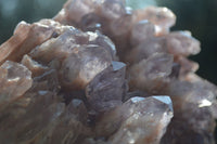 Natural Large Sugar Amethyst Cluster  x 1 From Zambia - Toprock Gemstones and Minerals 