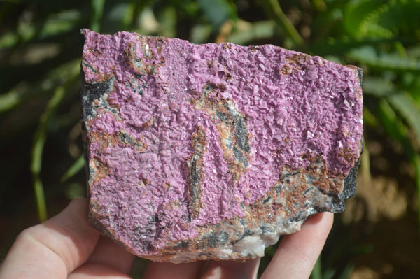 Natural Pink Salrose Cobaltion Dolomite Specimens  x 3 From Kakanda, Congo - Toprock Gemstones and Minerals 