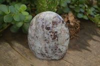 Polished Rubellite In Quartz & Feldspar Matrix  x 3 From Madagascar - Toprock Gemstones and Minerals 