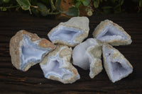 Natural Blue Lace Agate Geode Specimens  x 6 From Nsanje, Malawi - Toprock Gemstones and Minerals 