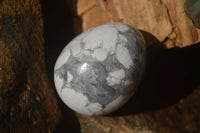 Polished White Howlite Gemstone Eggs x 12 From Madagascar