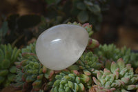 Polished Clear Quartz Eggs x 6 From Madagascar