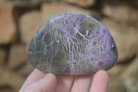 Polished Stichtite & Serpentine Free Forms x 6 From Barberton, South Africa