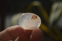 Polished Mini Ocean  Flower Agate Palm Stones  x 35 From Madagascar