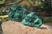 Natural Chatoyant Silky Malachite Specimens  x 4 From Kasompe, Congo