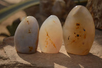 Polished Dendritic Agate Standing Free Forms  x 6 From Moralambo, Madagascar