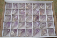 Natural Single Jacaranda Amethyst Crystals  x 35 From Zambia - Toprock Gemstones and Minerals 