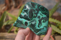 Polished Malachite Free Forms x 3 From Kolwezi, Congo