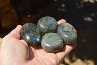 Polished Flashy Labradorite Palm Stones  x 20 From Tulear, Madagascar - TopRock