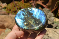 Polished Labradorite Standing Free Forms With Intense Blue & Gold Flash x 3 From Sakoany, Madagascar - TopRock