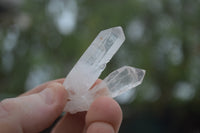 Natural Small Clear Madagascar Quartz Crystals  - Sold per 1 kg - From Madagascar - TopRock