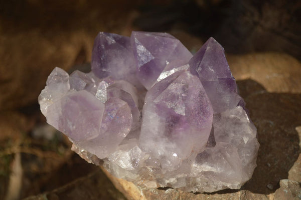 Natural Jacaranda Amethyst Clusters x 2 From Zambia