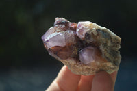 Natural Rare Dark Purple Spirit Amethyst Clusters  x 24 From Boekenhouthoek, South Africa - Toprock Gemstones and Minerals 