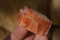 Natural New Sunset Orange Calcite Specimens  x 12 From Spitzkop, Namibia