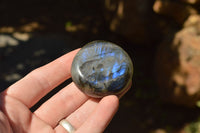 Polished Flashy Labradorite Palm Stones  x 20 From Tulear, Madagascar - TopRock