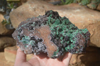 Natural Drusy Coated Ball Malachite On Dolomite Specimen x 1 From Congo