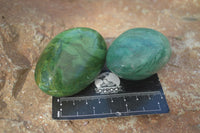 Polished  Large Green Verdite Galet / Palm Stones x 9 From Zimbabwe