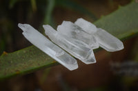 Natural Small Clear Madagascar Quartz Crystals  - Sold per 1 kg - From Madagascar - TopRock