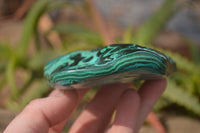 Polished Malachite Free Forms x 3 From Kolwezi, Congo