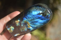 Polished Labradorite Standing Free Forms With Blue & Gold Flash  x 3 From Tulear, Madagascar - Toprock Gemstones and Minerals 