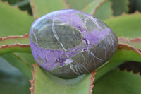 Polished Stichtite & Serpentine Free Forms x 6 From Barberton, South Africa