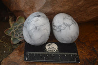 Polished White Howlite Gemstone Eggs x 12 From Madagascar